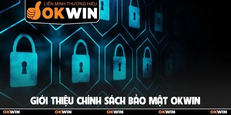 Giới thiệu chính sách bảo mật OKWIN